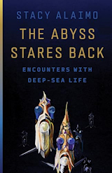 Bookcover: The abyss stares back